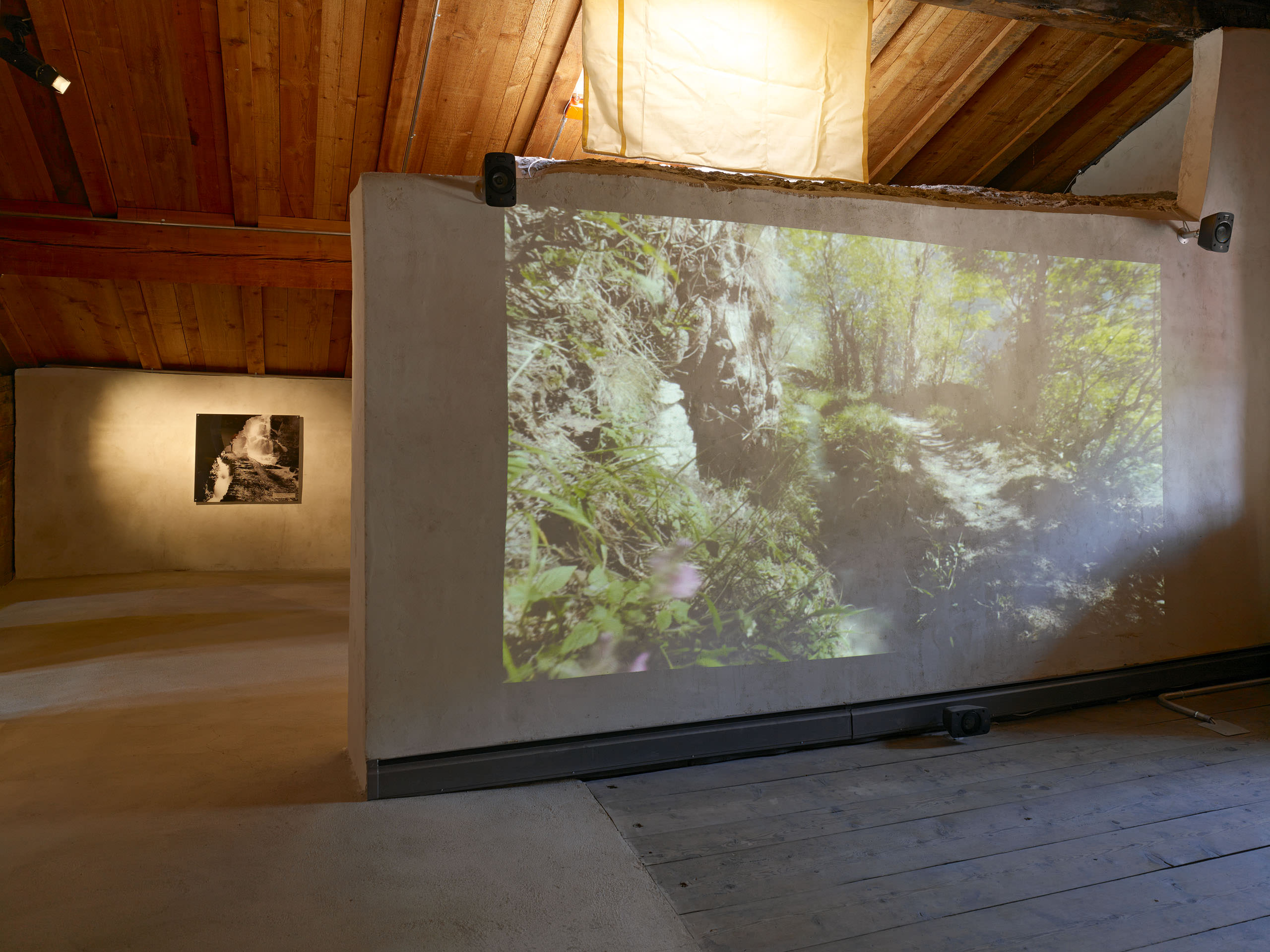 E13451 ALPA 038779 j2560